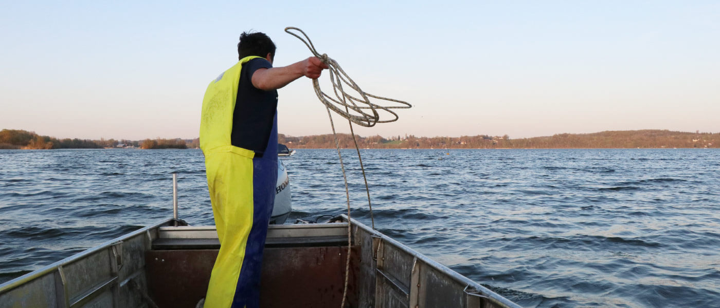 Fische aus dem Ammersee im Wirtshaus und Restaurant &ldquo;Der Pschorr&rdquo; am Viktualienmarkt