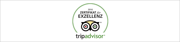 Trip Advisor